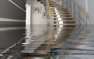Water Damage Restoration in Bayview, TX – The Best Way to Restore Your Home After a Flood