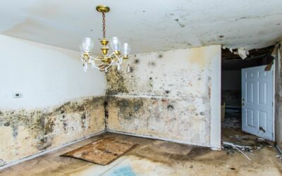 Water Damage Restoration in League City, TX – The Best Way to Restore Your Home After a Water Disaster