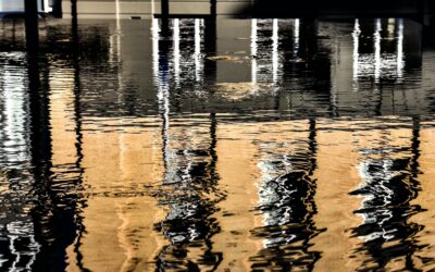 The Ultimate Guide to Water Damage Restoration in Piney Point Village